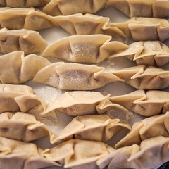 Raw dumplings, traditional Asian cuisine, elastic and thin pasta, filled with shallots (scallions) and other vegetables, can be added to ground meat, or presented as vegetarian food. 