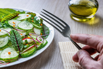 Healthy diet green salad with cucumbers in a white plate, hand holds a fork over a dish, shallow depth of field, selective focus. Organic food concept.