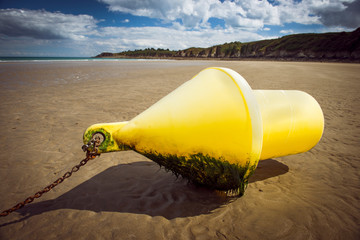 buoy on the beach