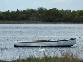 Naklejka na ściany i meble Lonely boat on the water, swan and landscape