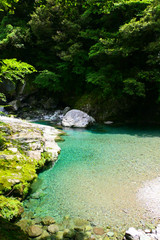 Fototapeta na wymiar 仁淀川の上流、初夏の安居渓谷。高知、日本。6月上旬。