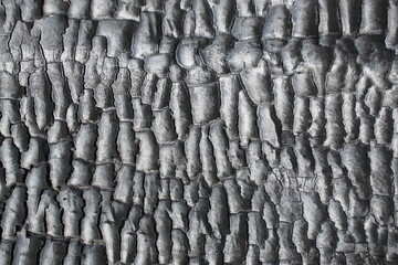 Black background with burnt wood texture