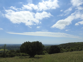 Panoramic view of meadow fields, forests and more