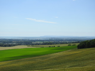 Light and dark green fields and landscapes