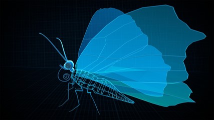 Butterfly anatomy, 3D illustration with grid structure on black background