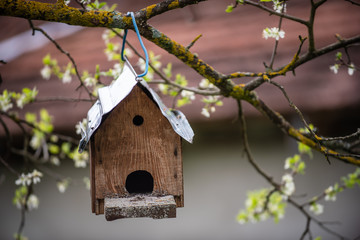 Birdhouse