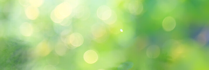 spring bokeh abstract blurred background, sun glare background