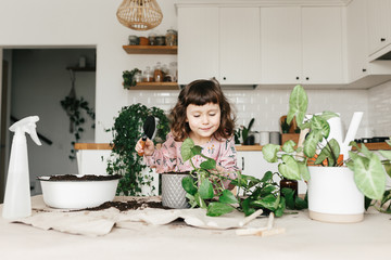 Adorable child girl is planting a houseplant in pot at home.