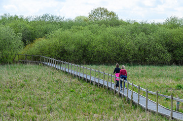 2 Wanderer in Moorlandschaft