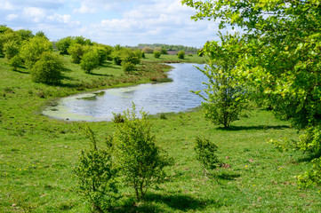Fototapeta na wymiar Kleiner See in einem Naturschutzgebiet