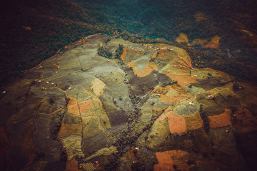 Rice fields of Bali island, Indonesia