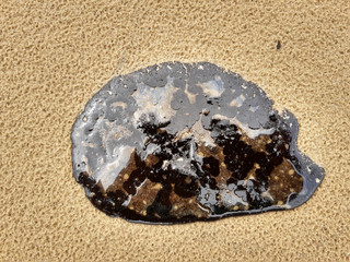 Oil split in northeast Brazil