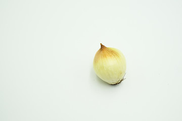 Large Onion or Allium cepa var. cepa , shots on isolated white background.