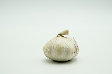 Garlic or Allium sativum, shots on isolated white background.