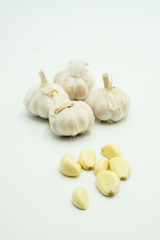 Garlic or Allium sativum, shots on isolated white background.
