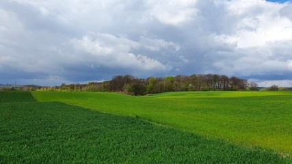 Landscape of Polish green fields and clouds in the sky