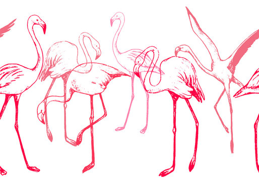 Beautiful standing flamingos. Hand drawn vector horizontal seamless pattern. Pink exotic birds background. Vintage tropical colored wallpaper. Gentle design for wrap, textile, postcard, print, fabric. © Olga Sayuk
