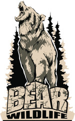 Aggressive, angry bear emblem logo. Design for t-shirts. Vector image.
