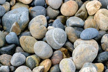Background with different color sea stones