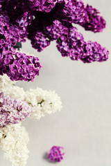 Bouquet of lilac flowers in three colors