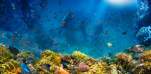 Group of scuba divers exploring coral reef. Underwater sports and tropical vacation concept