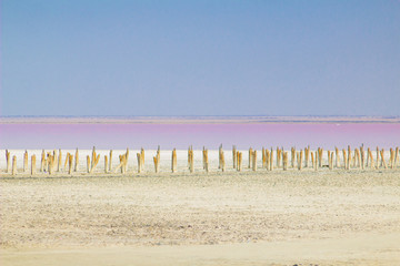 Panorama of the salty pink lake. Bright pink water, dark blue sky, summer tourist view. Contrasting background of art Wallpaper
