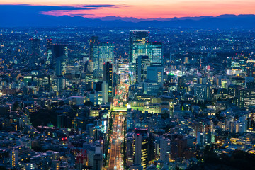 Fototapeta na wymiar Japan. Panorama of the Japanese city at dusk. View of Tokyo from a height. City on the background of silhouettes of mountains. Cities of Japan. Urban infrastructure. Evening in the big city.