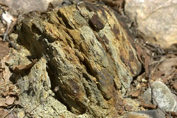 Roche naturel en forêt au Québec, Canada. Texture unique