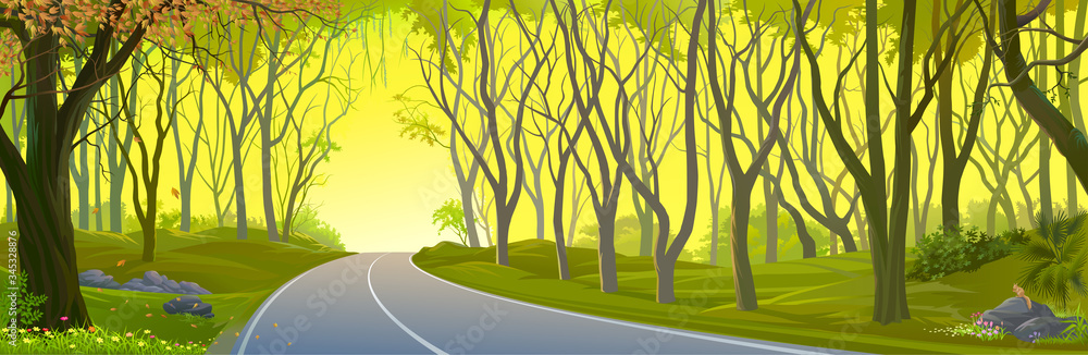 Wall mural panoramic view of a dense jungle. a view while traveling across the forest.