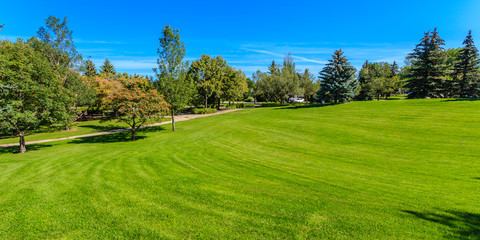 Obraz premium Albert Milne Park