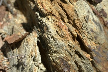 Roche naturel en forêt au Québec, Canada. Texture unique