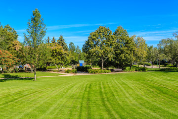 Obraz premium Albert Milne Park