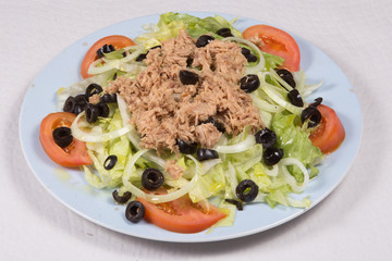 Fresh salad with tuna