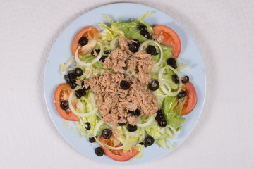 Fresh salad with tuna