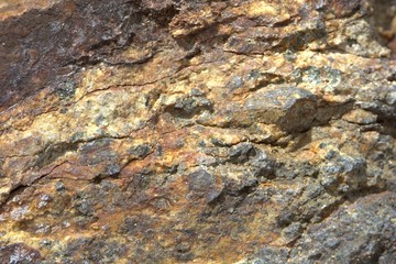 Roche naturel en forêt au Québec, Canada. Texture unique