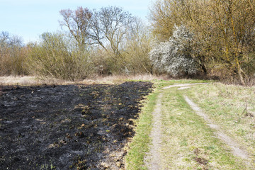 Burnt grass after meadow fire. Black surface of the rural field with a burned grass.