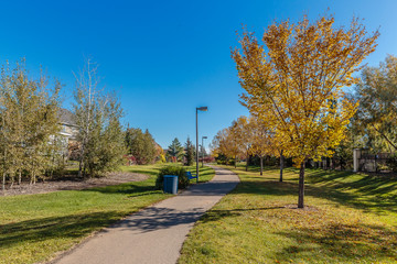 Obraz premium Arbor Creek Park