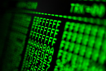 Computer code on the screen