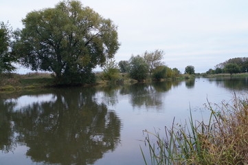 Calm flow of the river