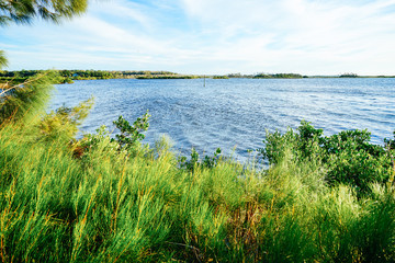 Beautiful Florida swamp winter landscape