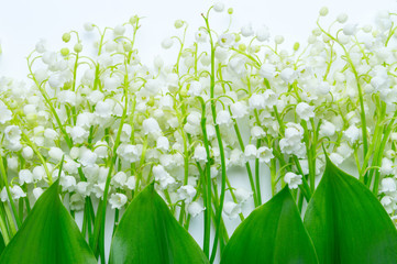Beautiful bouquet of lilies of the valley on a white background, top view