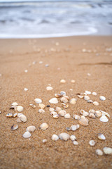 Sea wave running towards the coast from small shells in Skane, Sweden. Selective focus