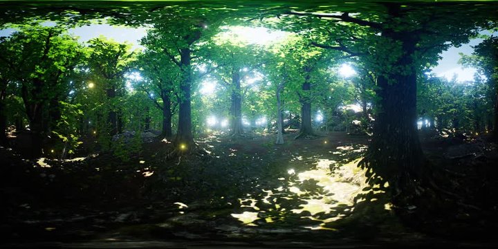 VR 360 firefly flying in green forest