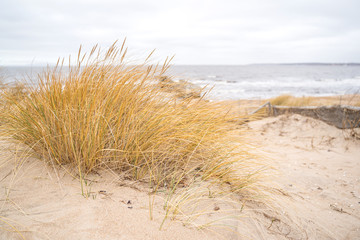 Dunes on the North Sea, Sweden