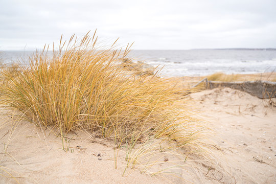 Dunes on the North Sea, Sweden