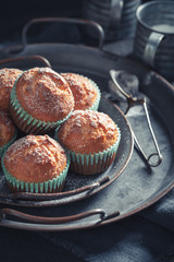 Small and fresh vanilla cupcakes on rustic dark table