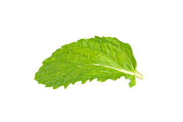 Obraz premium Close-up of Mint leaves isolated on white background.