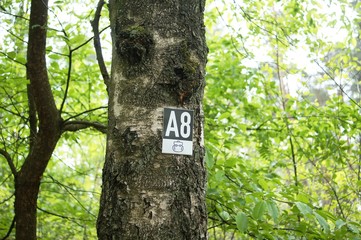 Wanderweg A8 im Teutoburgerwald n&auml;he Bielefeld