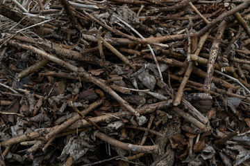 twigs, nature, texture, wood, brown, tree,