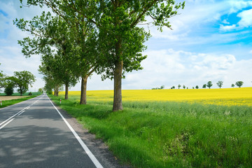 Landscape , Krajobrazy 2020
